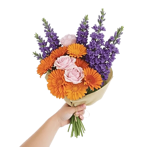 Petal Radiance Bliss