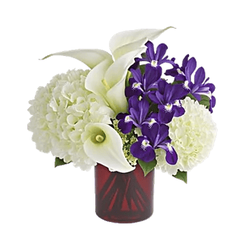 Elegant Calla Lilies