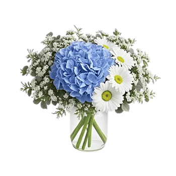 Sapphire Bloom Whisper