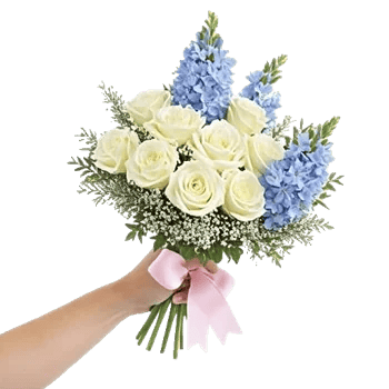 Blossom Petal Serenity