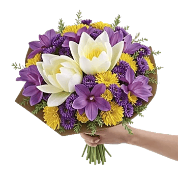 Blossom Harmony Display