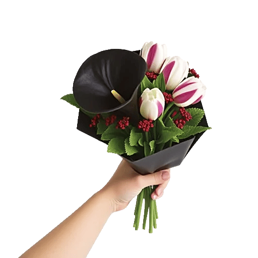 Elegant Calla Lilies