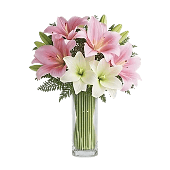 Graceful Lily Display