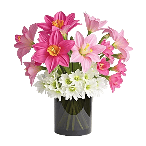 Petal Radiance Bliss