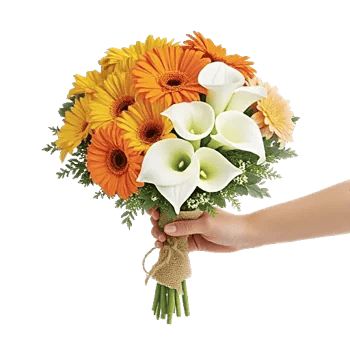 Petal Harmony Bliss