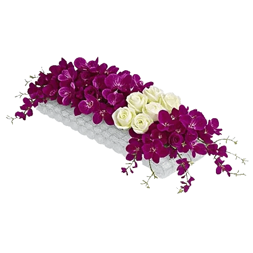 Orchid Bloom Cascade