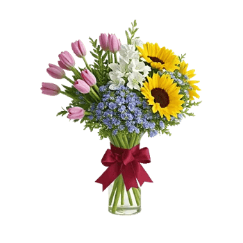 Velvet Tulip Display