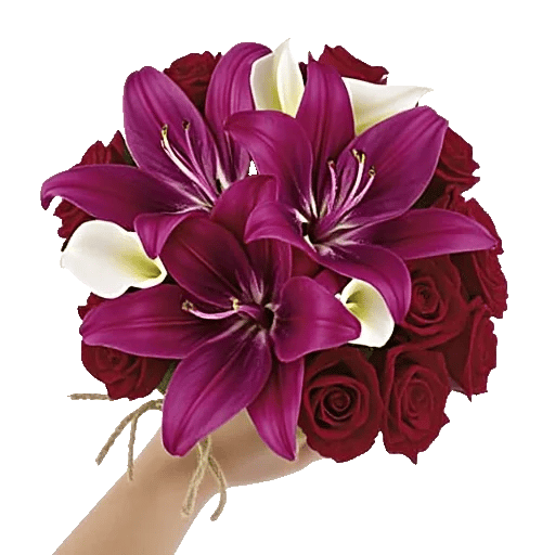 Elegant Calla Lilies