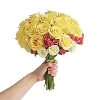 Blushing Rose Symphony