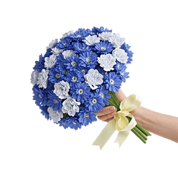 Elegant Blue Roses