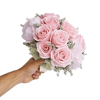 Pastel Pink Roses