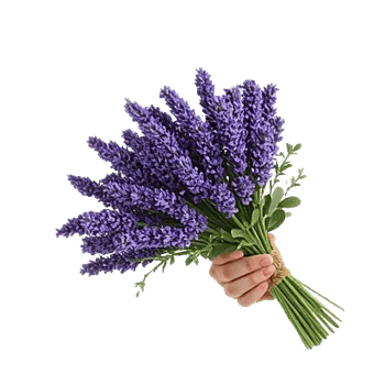 Lavender Bloom Grace