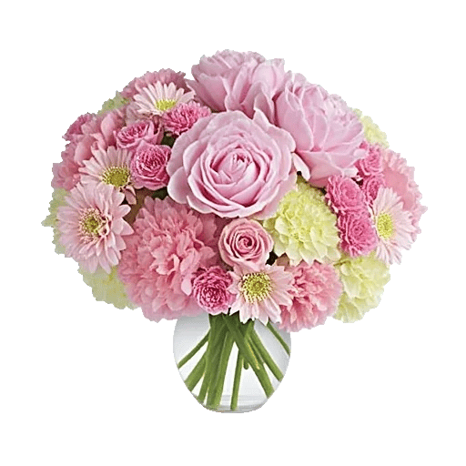 Petal Radiance Bliss