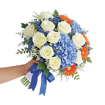 Serene Petal Harmony