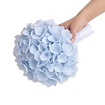 Serene Petal Harmony