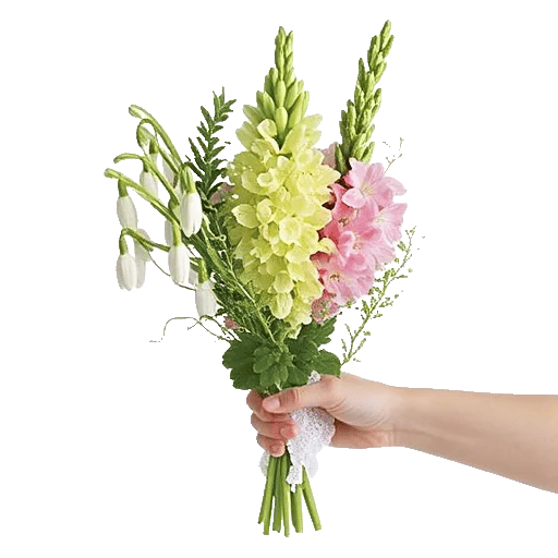 Ivory Blossom Radiance