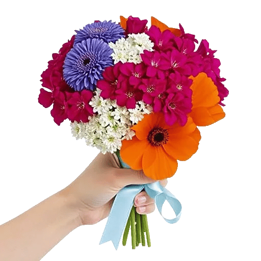 Blossom Petal Serenity