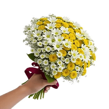 Ivory Blossom Radiance