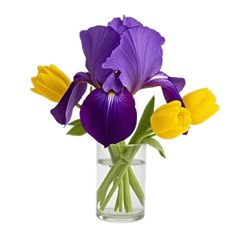 Ivory Blossom Radiance