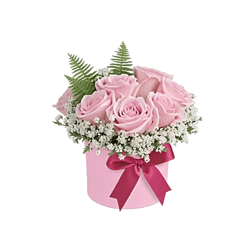 Blossom Radiant Whisper