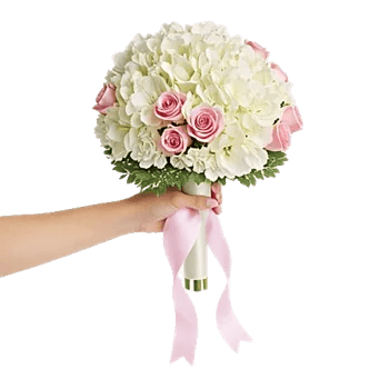 Ivory Blossom Radiance