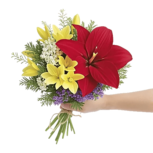 Crimson Blossom Harmony