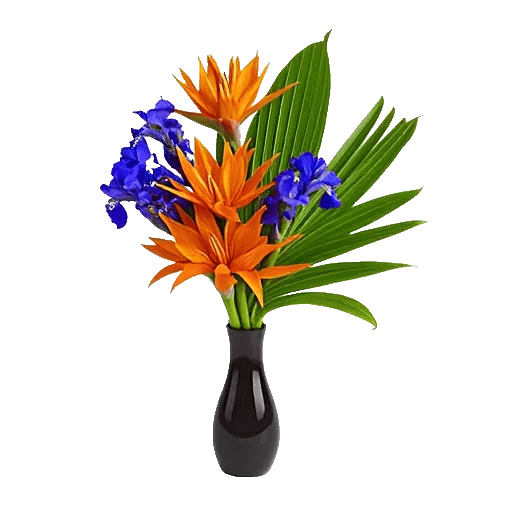 Petal Radiance Bliss