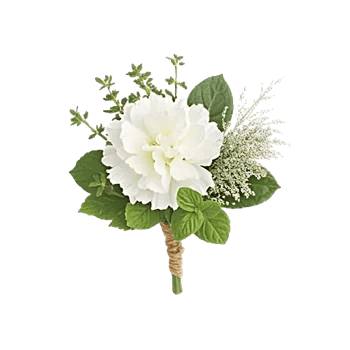 Minimalist White Orchids