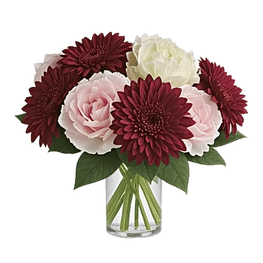 Petal Radiance Bliss