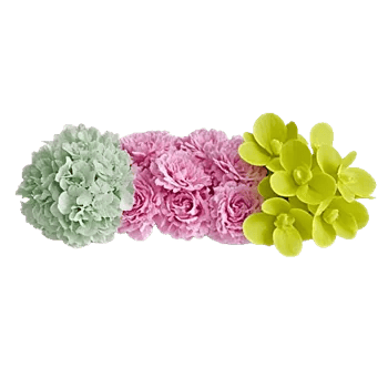 Ivory Blossom Radiance