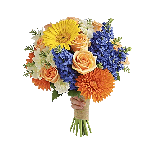 Petal Harmony Bliss