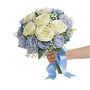 Serene Petal Harmony