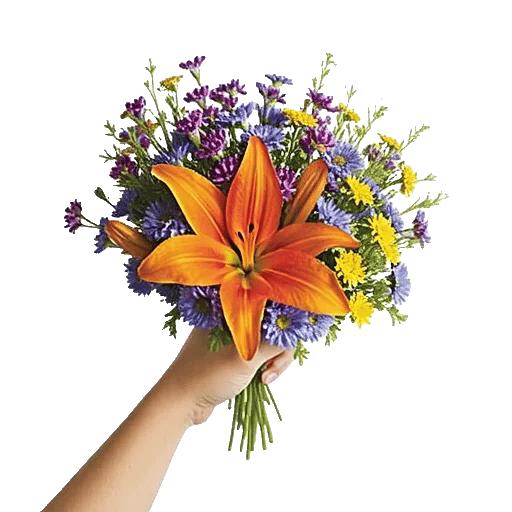 Petal Radiance Bliss