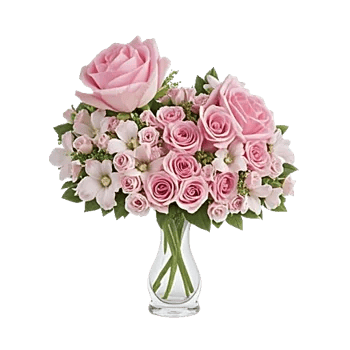 Blushing Rose Symphony