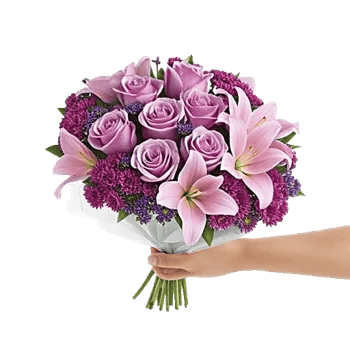 Blushing Rose Symphony