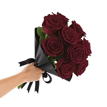 Crimson Rose Elegance