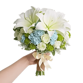 Ivory Blossom Radiance