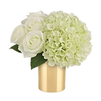 Ivory Blossom Radiance