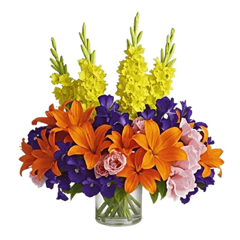 Petal Radiance Bliss