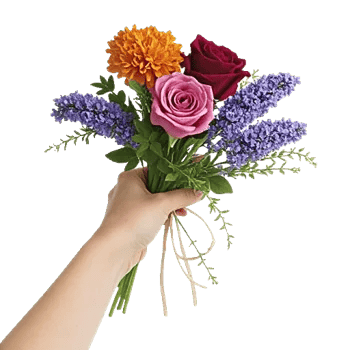 Rosemary Bloom Elegance