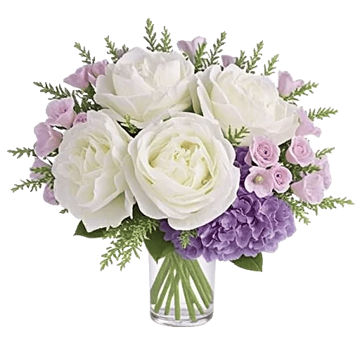 Ivory Blossom Radiance