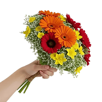 Coral Blossom Harmony