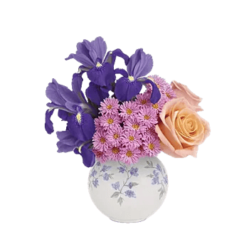 Ivory Blossom Radiance