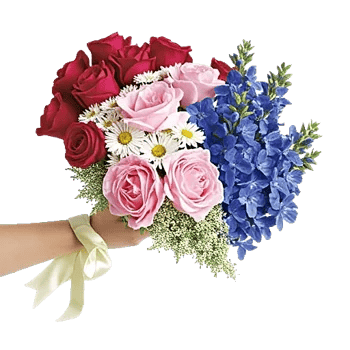 Delicate Petal Cascade