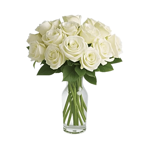 Radiant Rose Symphony