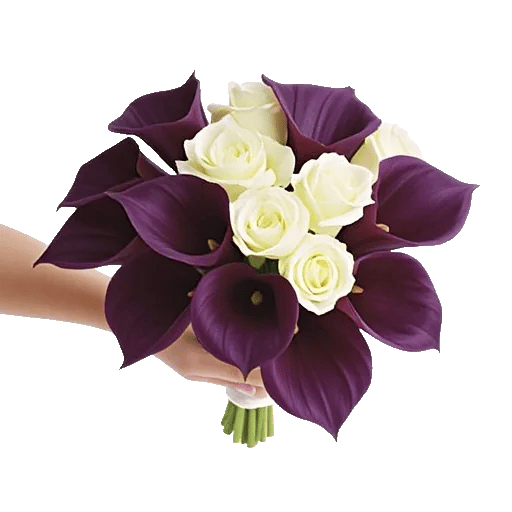 Elegant Calla Lilies