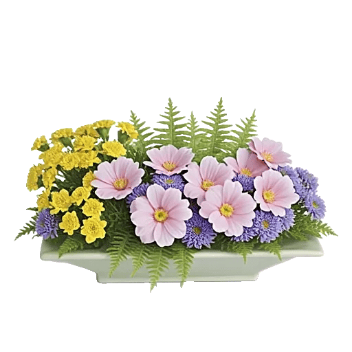 Serenity Orchid Bloom