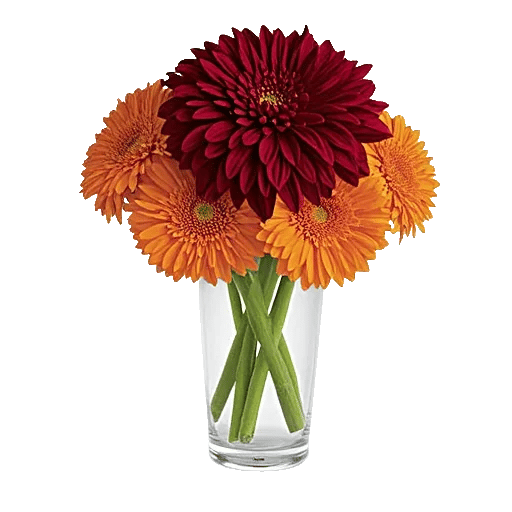 Crimson Blossom Harmony