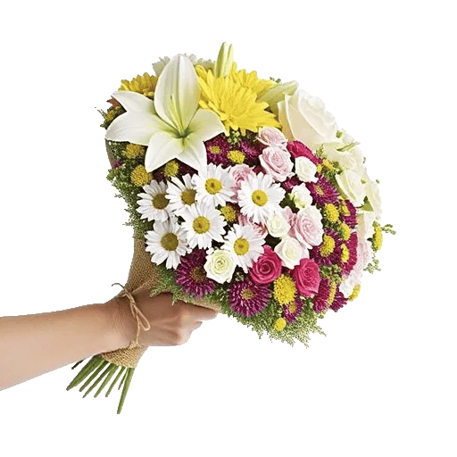 Petal Harmony Bliss