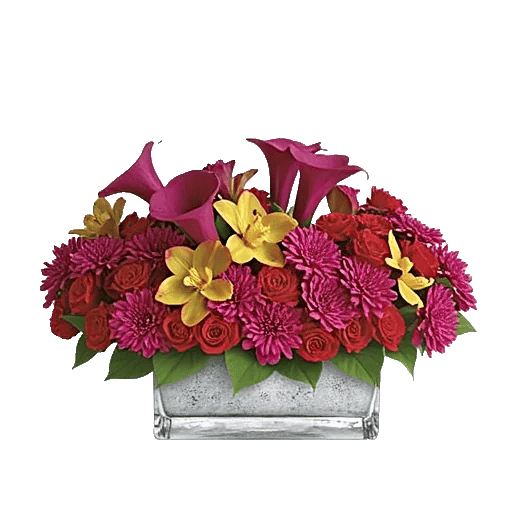 Elegant Calla Lilies